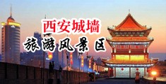女生的骚逼视频中国陕西-西安城墙旅游风景区